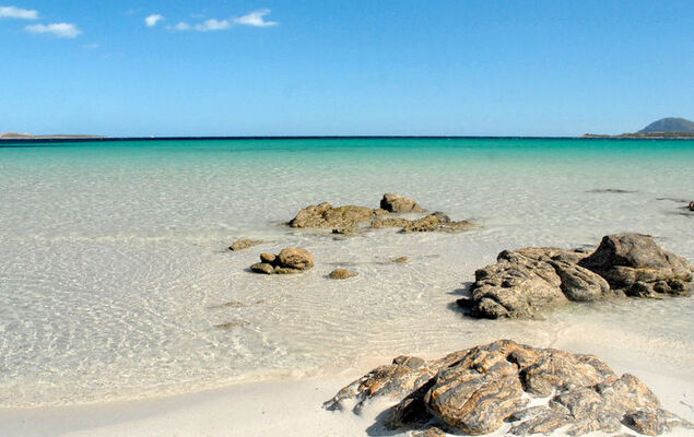 Bouganville - Photo 23