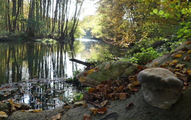 Landhaus Inselsee - Photo 23