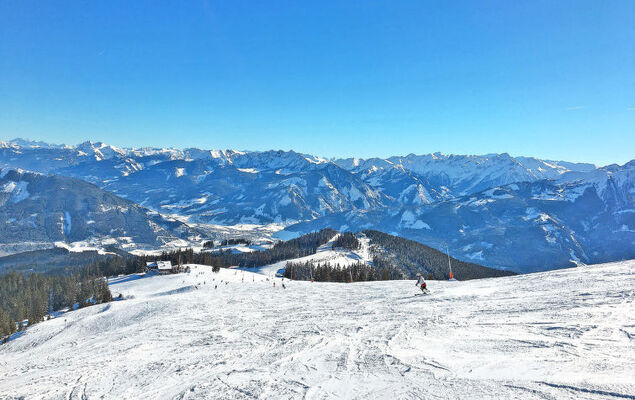 Dr.Steiner - Photo 29