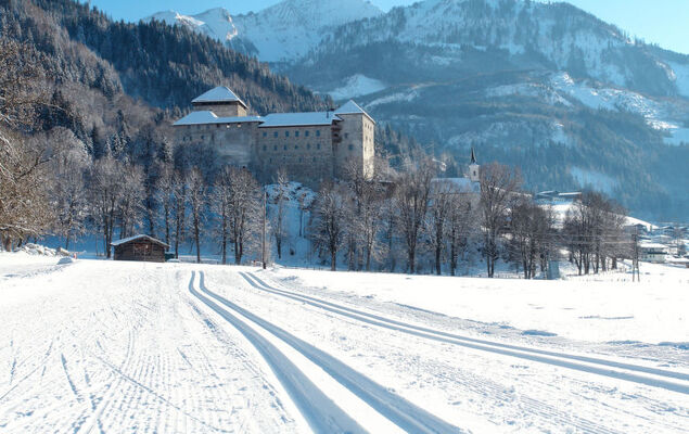 Dr.Steiner - Photo 32