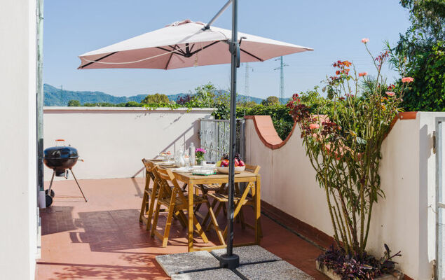 Sunflower piano terra - Photo 3