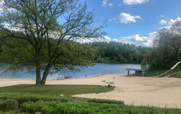 Waldrauschen - Photo 30