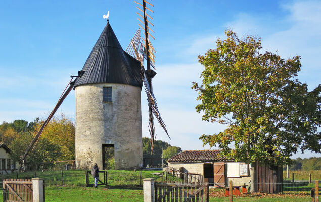 Les Arbousiers - Photo 30