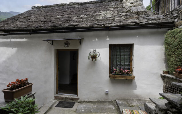 Il Gianlupo Grigio - Photo 20