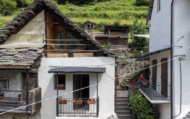 Il Gianlupo Grigio - Photo 24