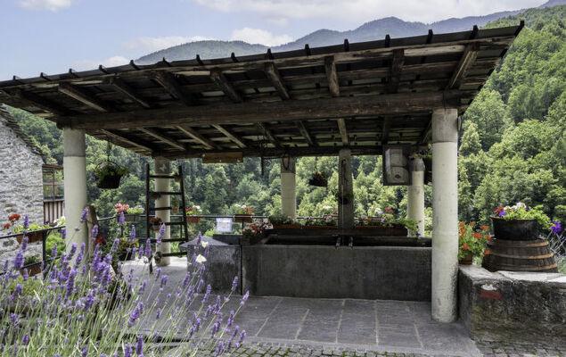 Il Gianlupo Grigio - Photo 30