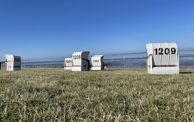 Hallig Hooge - Photo 17