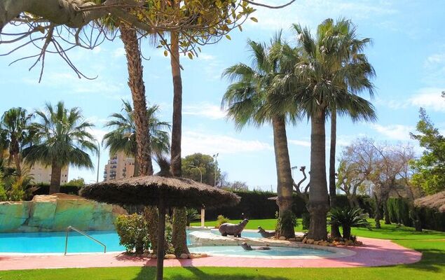 Bitacoras - Photo 44