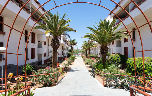 Altemar H3 - Photo 22