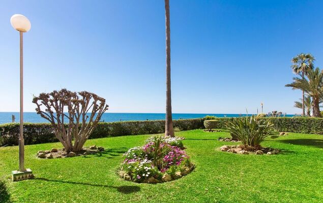 Las Gaviotas - Photo 19