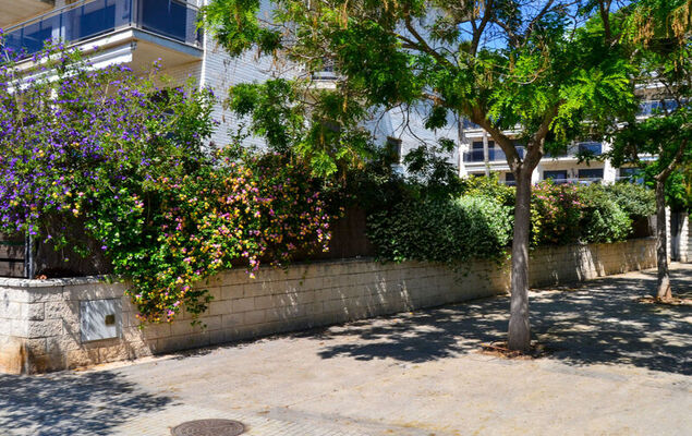 Vila del Far - Photo 14