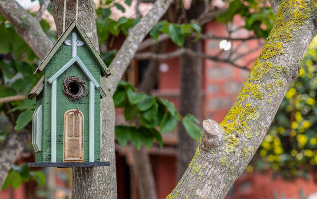 Villa Torrita - Photo 36