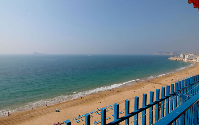 Las Palmeras - Photo 17