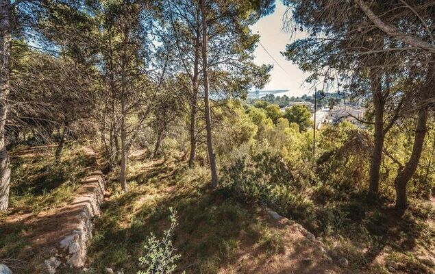 Torre Morralla - Photo 36