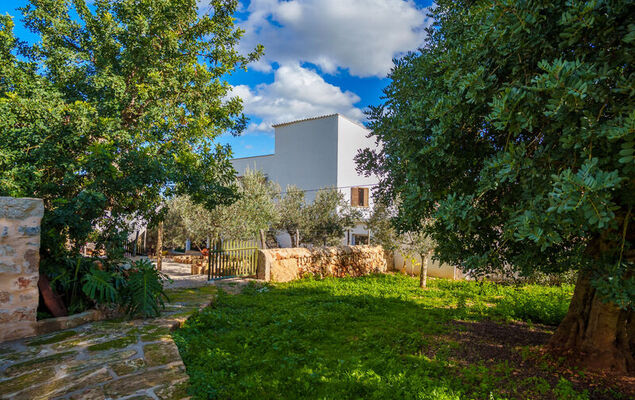 Can Passos - Photo 35