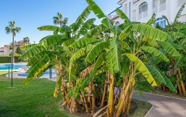Mirador del Saltillo - Photo 25