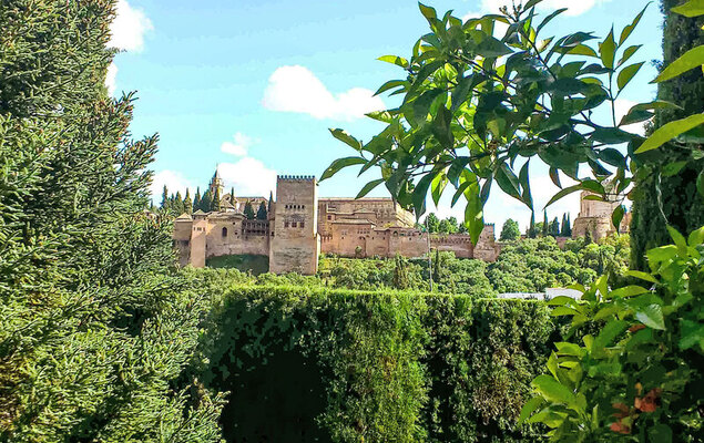 Carmen Del Agua - Photo 33