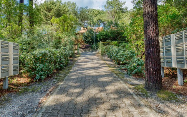 Les Cracks - Les As - Photo 19