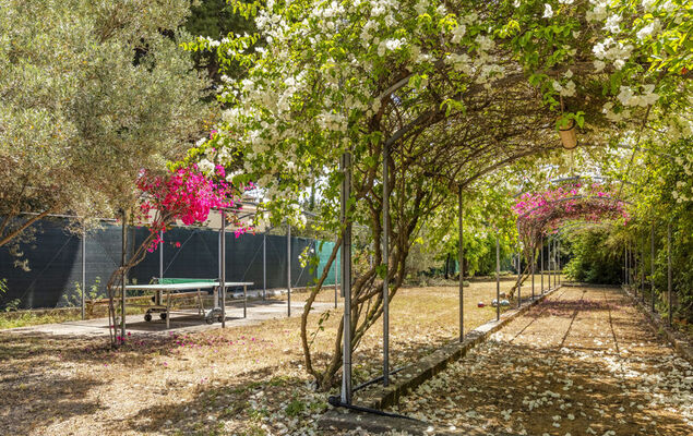 Cicladi Anafi - Photo 22